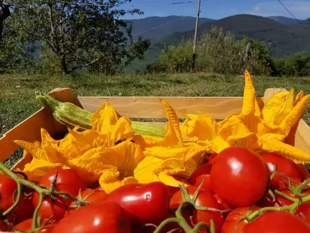 agriturismo il fosso 03