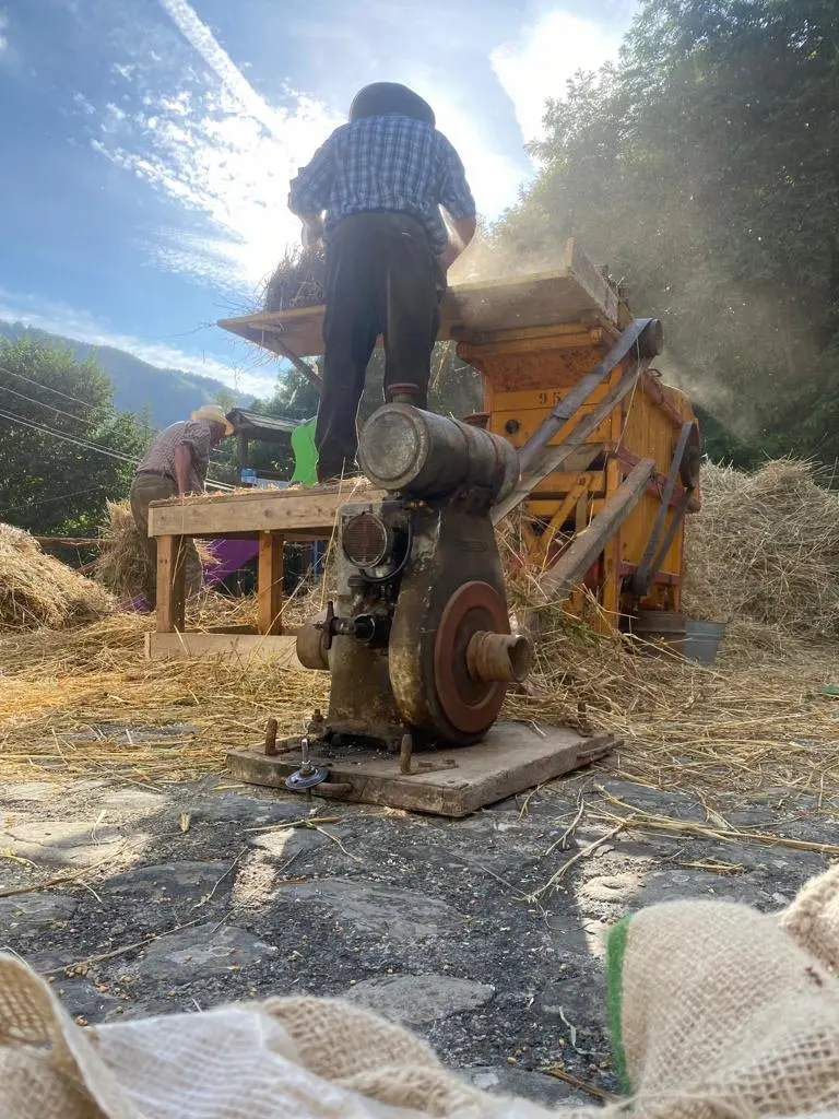 associazione museo della gente dell appennino pistoiese 01