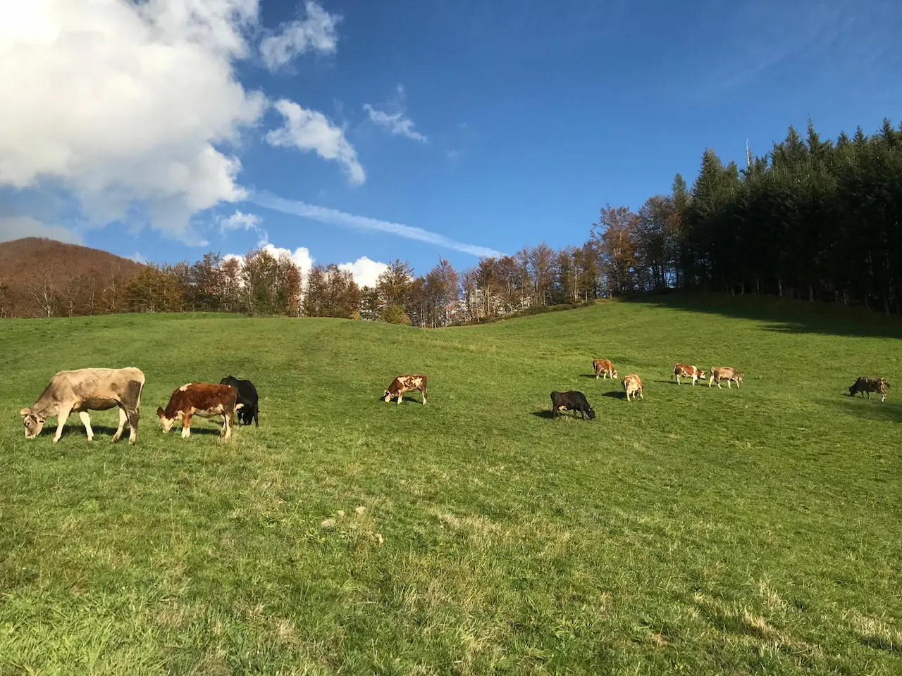 Azienda Agricola La Secchia