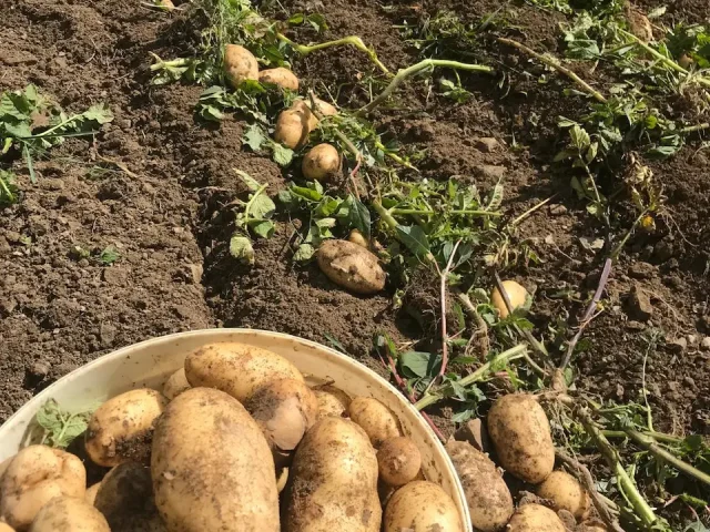 azienda agricola la secchia 05