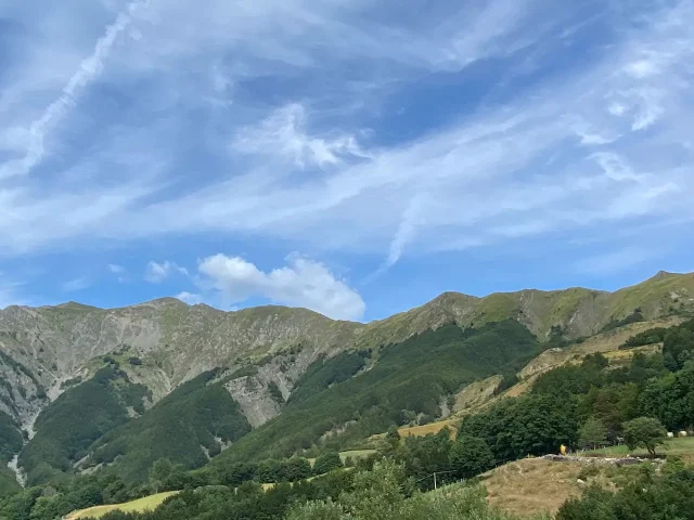 Azienda Bio Agrituristica I Taufi